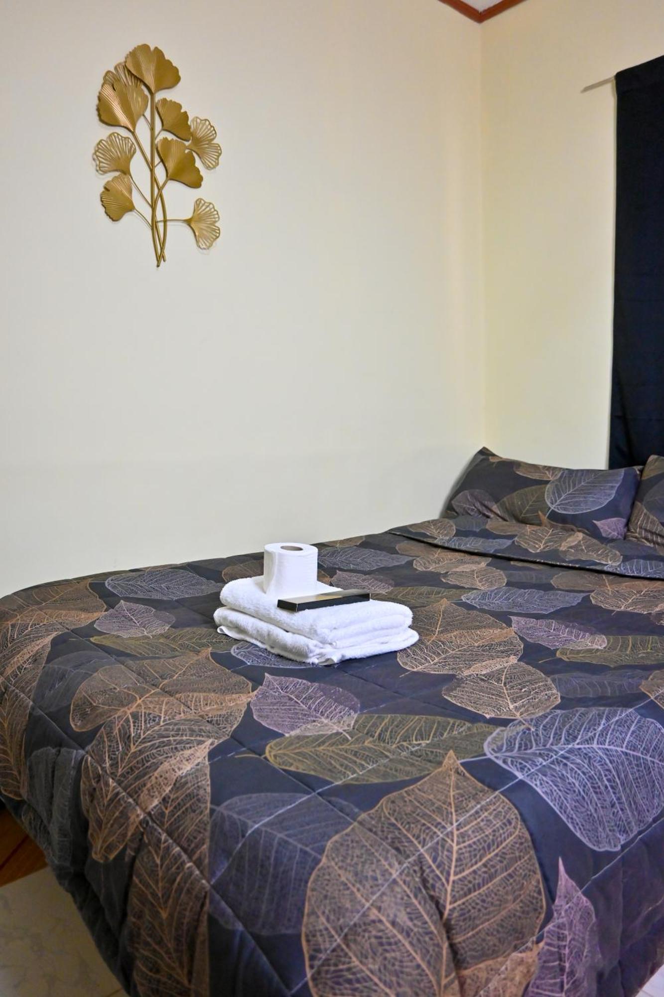 סן ויסנטה Trisha Guesthouse מראה חיצוני תמונה